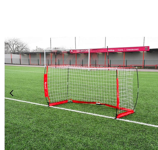 Precision Flexi Net Goal